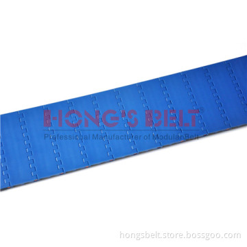 Food Grade Modular Conveyor Belt (HS-100A-HD)